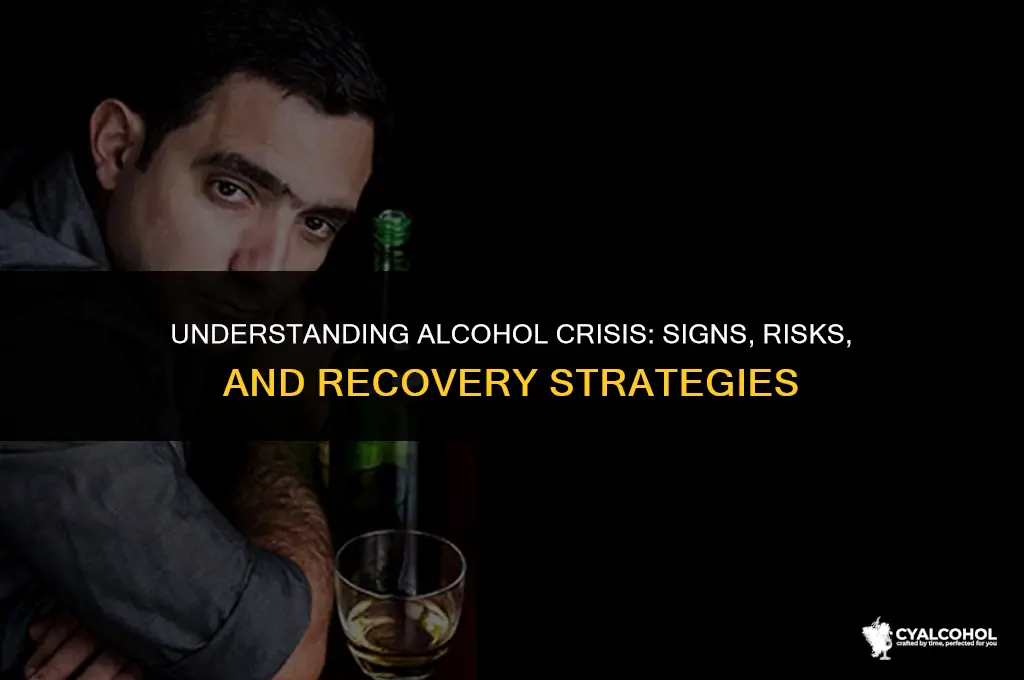 what is a crisis when alcohol