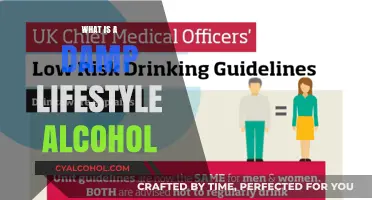 Understanding the Risks of a Damp Lifestyle: Alcohol's Impact