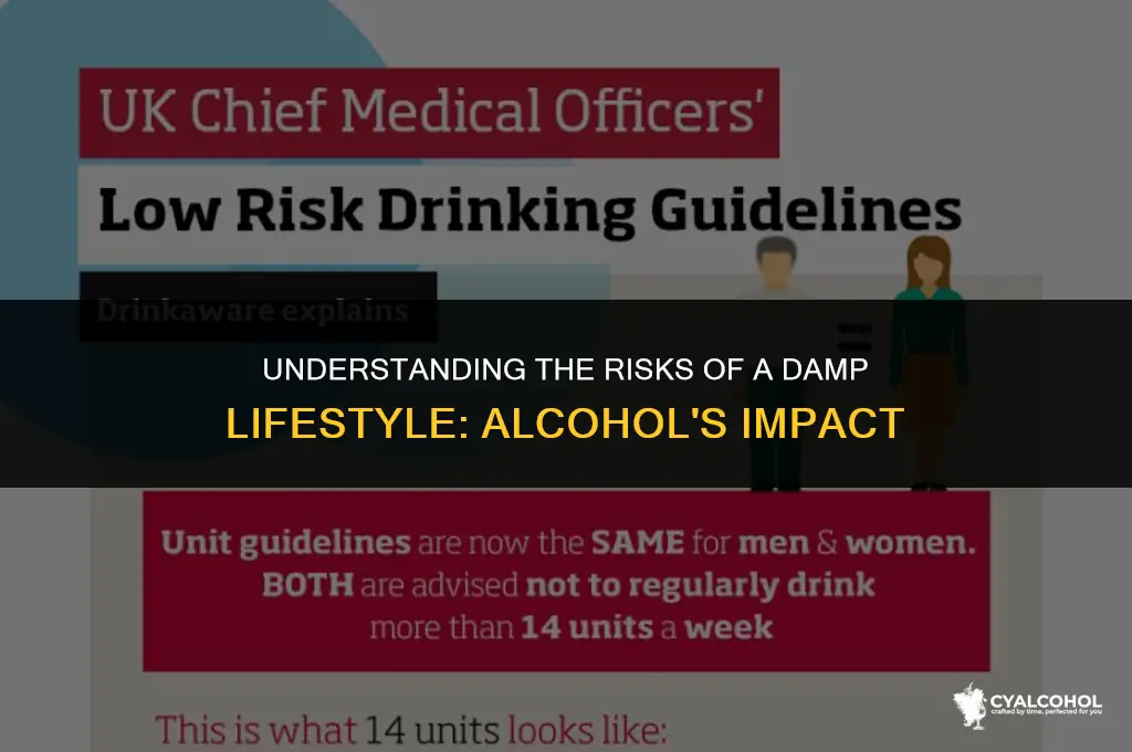 what is a damp lifestyle alcohol