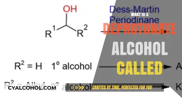 Unveiling the Mystery: What's a Deprotonated Alcohol Called?