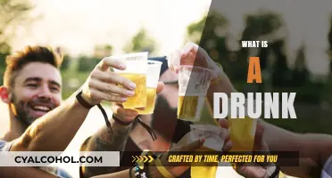 Understanding Intoxication: What Does It Mean to Be Drunk?