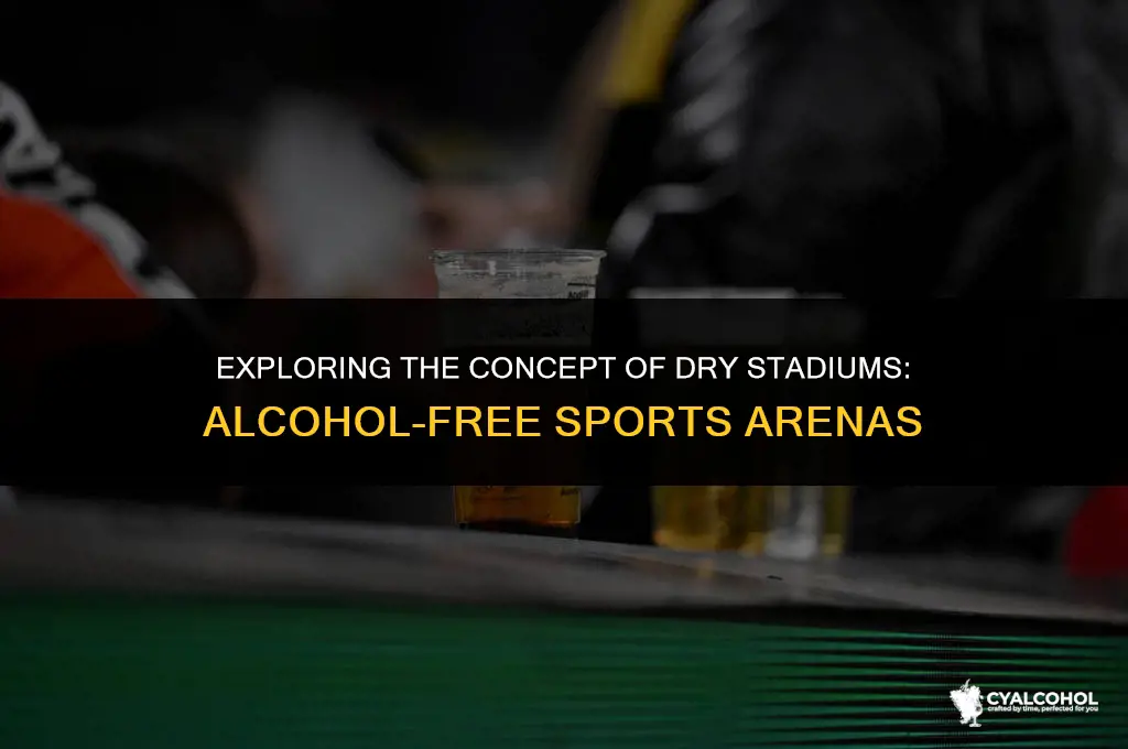 what is a dry stadium alcohol