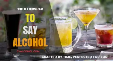 Elegant Terminology for Alcohol: A Guide to Formal Expressions