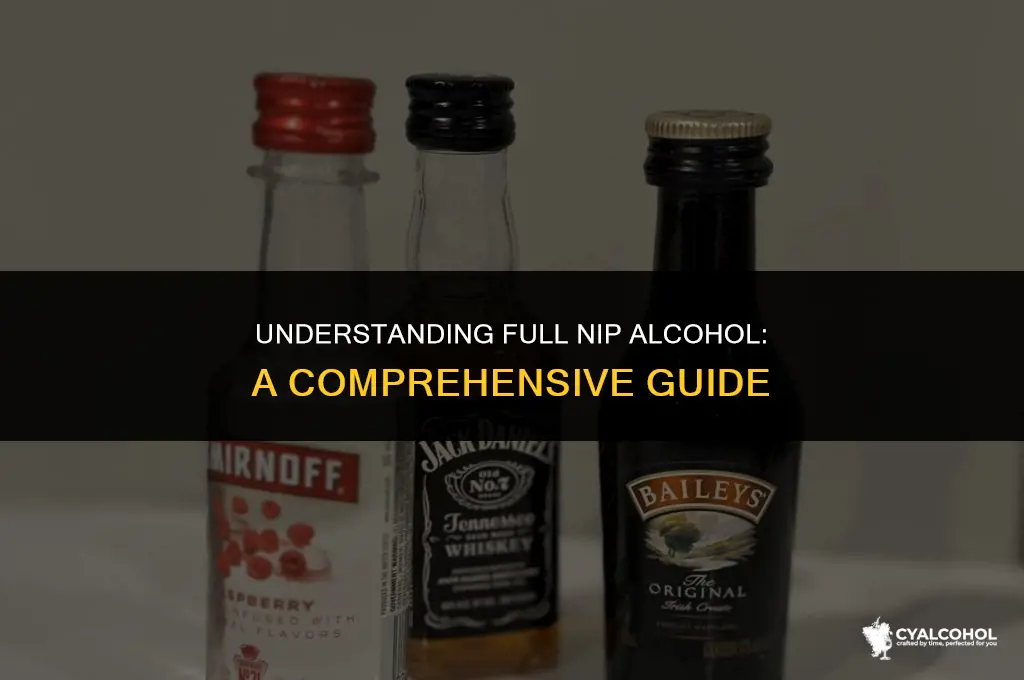 what is a full nip alcohol