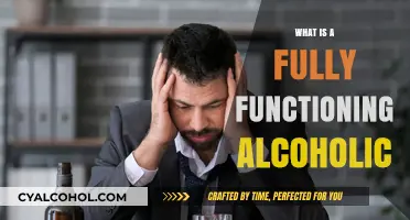 Understanding the Complexity of a Fully Functioning Alcoholic