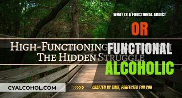 Understanding Functional Addiction: Unmasking the Hidden Struggles of High-Functioning Alcoholics