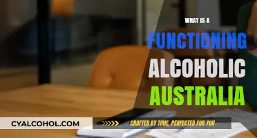 Understanding Functioning Alcoholism in Australia: Signs, Impact, and Support