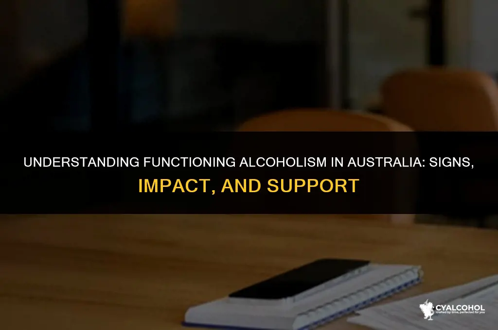 what is a functioning alcoholic australia