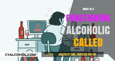 Understanding the Term: Functioning Alcoholic Explained