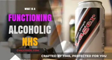 Understanding Functioning Alcoholism: Insights from the NHS