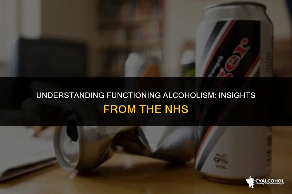 what is a functioning alcoholic nhs