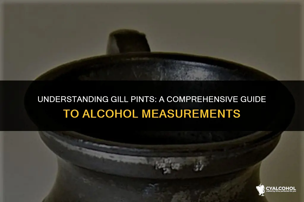 what is a gill pint alcohol