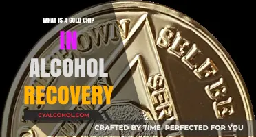 Understanding the Gold Chip: A Milestone in Alcohol Recovery Journey