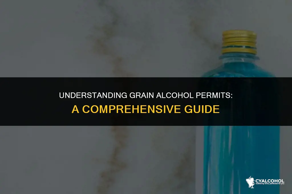 what is a grain alcohol permit