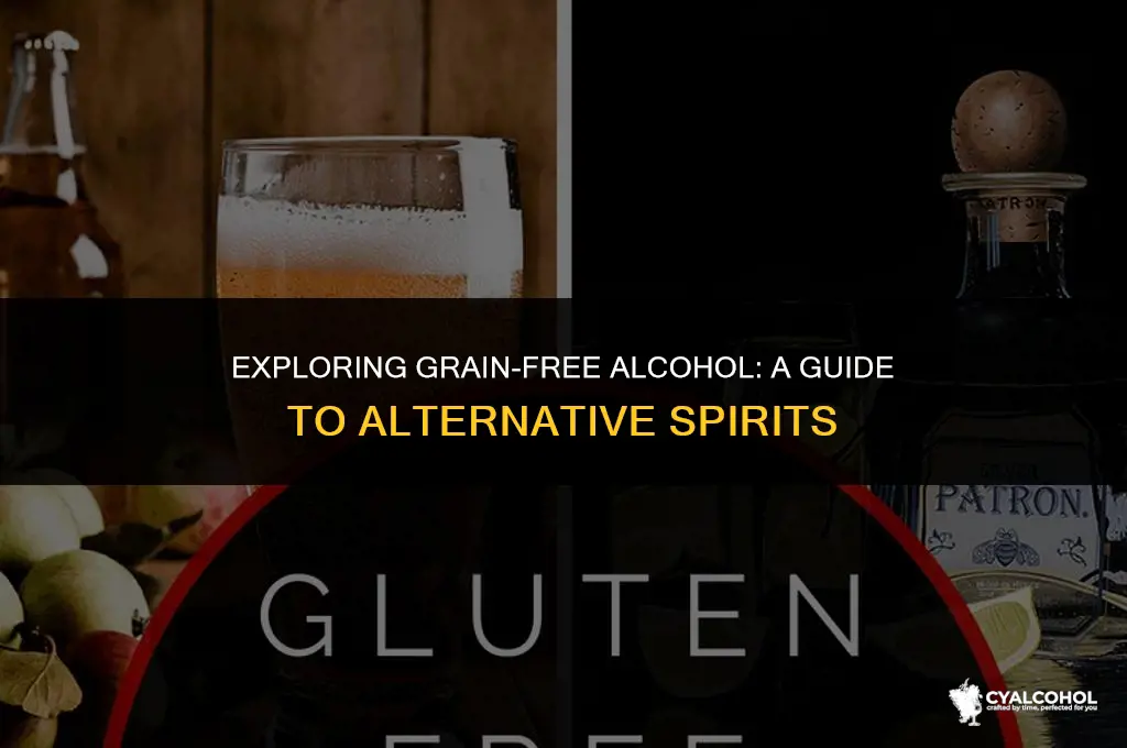 what is a grain-free alcohol