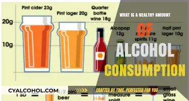 Understanding Healthy Alcohol Limits: Balancing Enjoyment and Wellness