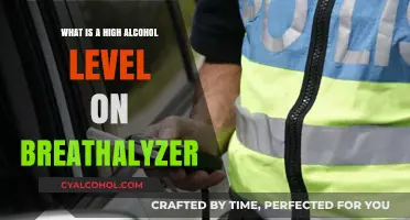 Understanding High Alcohol Levels on Breathalyzer Tests: What You Need to Know