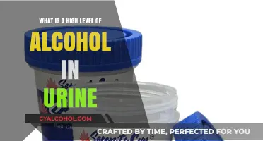 Alcohol in Urine: High Levels, What Does It Mean?