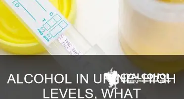 what is a high level of alcohol in urine