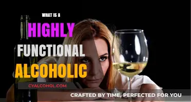 Understanding the Paradox: What It Means to Be a Highly Functional Alcoholic