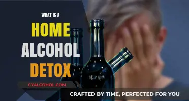 Navigating Sobriety: A Guide to Safe Home Alcohol Detox