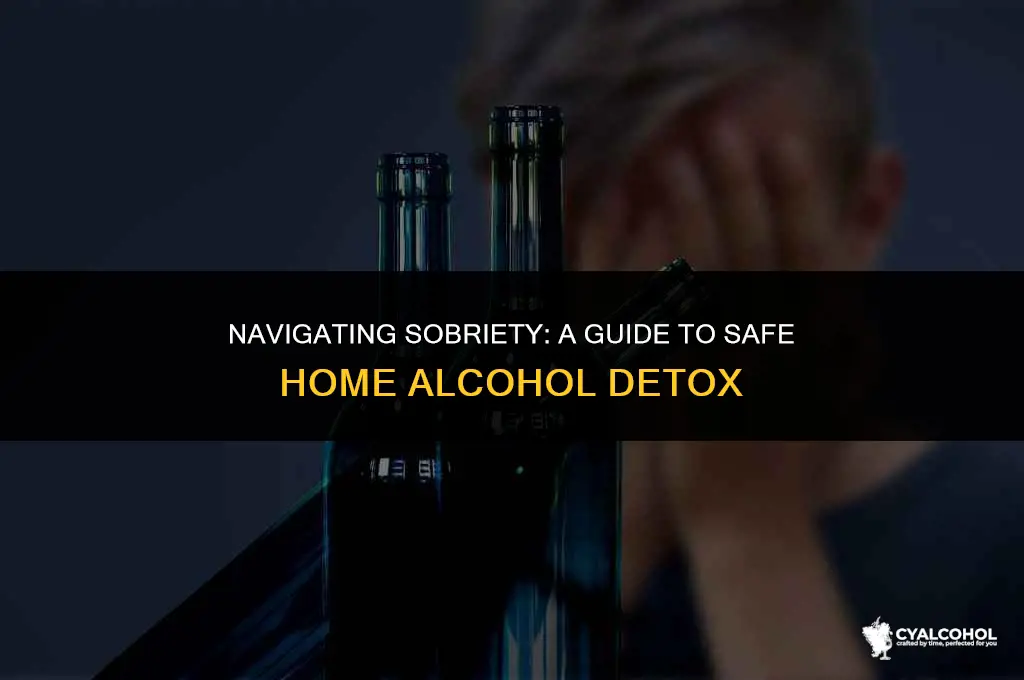what is a home alcohol detox