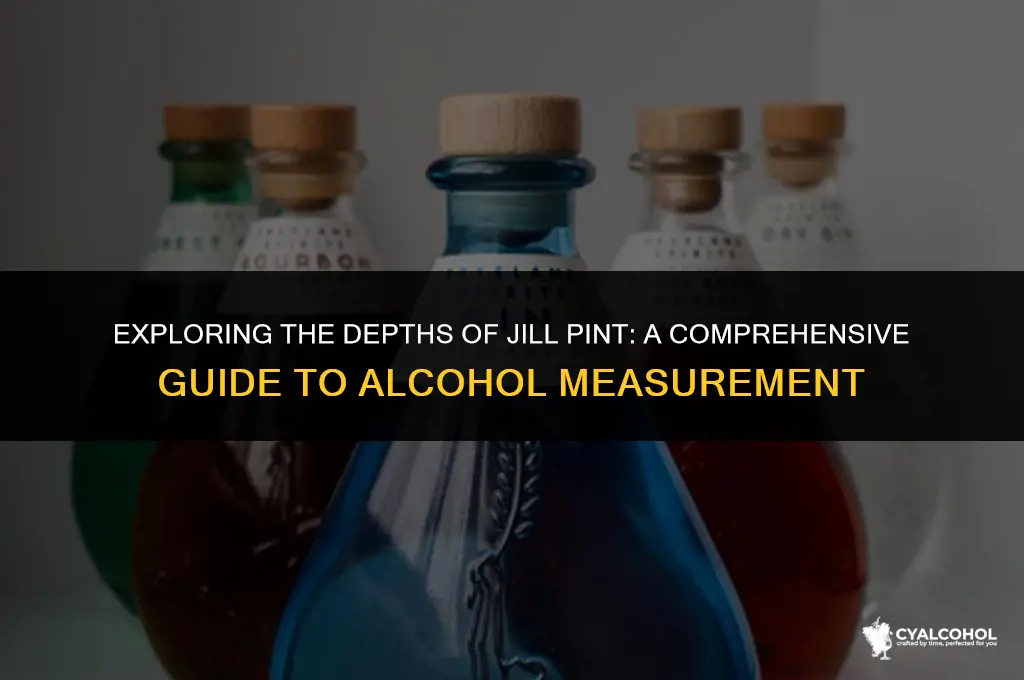 what is a jill pint alcohol