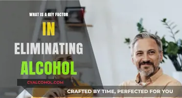 Understanding Support Systems: A Key Factor in Eliminating Alcohol
