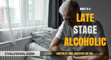 Understanding Late-Stage Alcoholism: Signs, Symptoms, and Seeking Help