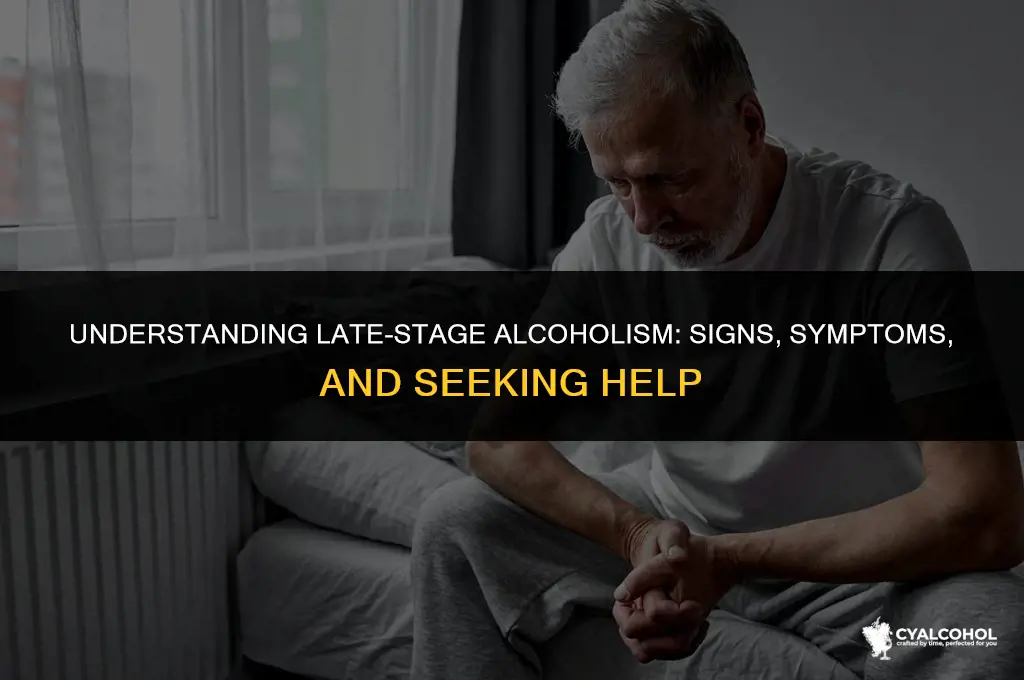 what is a late stage alcoholic