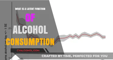 Unseen Roles of Alcohol: Exploring Latent Functions in Social Settings