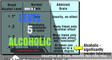 Understanding the Severity: What Constitutes a Level 5 Alcoholic?