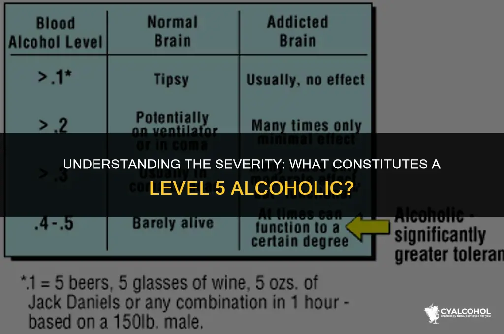what is a level 5 alcoholic