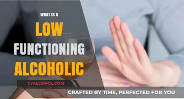 Understanding Low Functioning Alcoholism: Signs, Impact, and Recovery