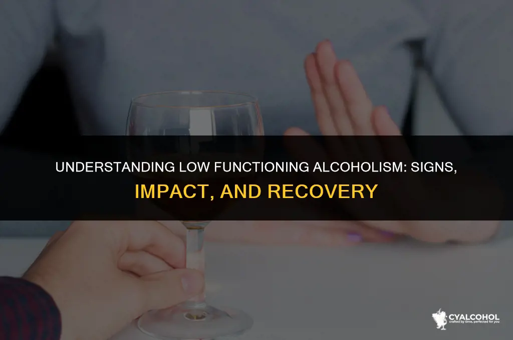what is a low functioning alcoholic