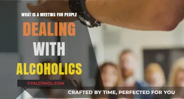 Support Group Meetings: Alcoholics and Their Loved Ones