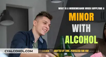 Alcohol to Minors: Understanding Misdemeanor Charges