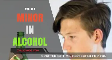 Understanding Minor in Alcohol Charges: Legal Implications and Consequences