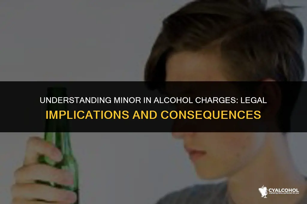 what is a minor in alcohol