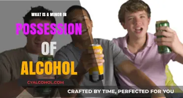 Understanding Minor in Possession of Alcohol: Legal Consequences and Prevention