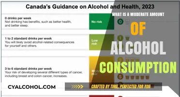 Understanding Moderate Alcohol Consumption: Balancing Health and Enjoyment