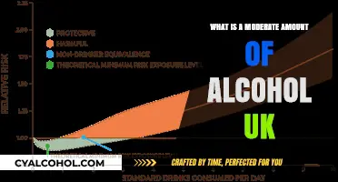 Understanding Moderate Alcohol Consumption in the UK: A Balanced Guide