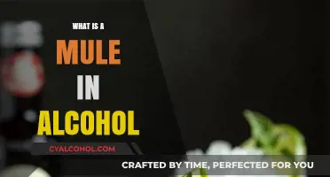 Exploring the Mule: A Refreshing Twist on Classic Cocktails