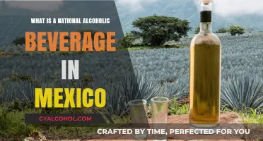 Discover Mexico's Iconic National Alcoholic Beverage: Tequila's Rich History & Culture