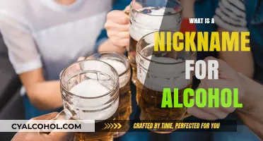 Slang for Spirits: Uncovering Alcohol's Many Monikers
