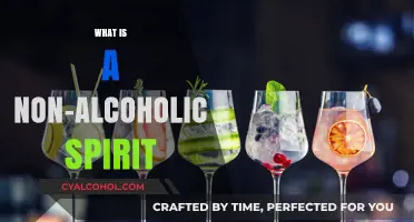 Exploring the Essence: What Are Non-Alcoholic Spirits?