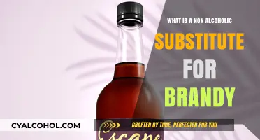 Brandy Alternatives: Non-Alcoholic Substitutes for Rich Flavor in Recipes