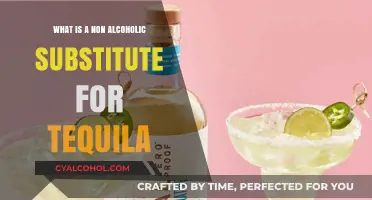 Mocktail Magic: Best Non-Alcoholic Substitutes for Tequila in Drinks