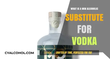 Sober Sips: Discover the Best Non-Alcoholic Vodka Alternatives