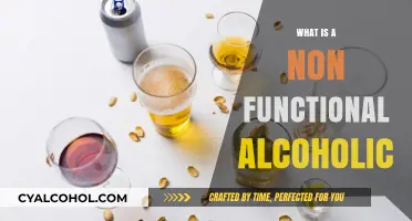 Understanding Non-Functional Alcoholism: Signs, Impact, and Recovery